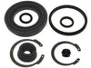Disc Brake Caliper Seal Kit Raybestos Brakes WK3292
