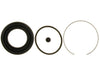 Disc Brake Caliper Seal Kit Raybestos Brakes WK3301