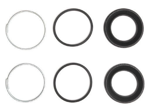 Disc Brake Caliper Seal Kit Raybestos Brakes WK847