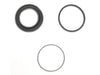 Disc Brake Caliper Seal Kit Raybestos Brakes WK881