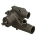 Engine Water Pump Airtex Water Pumps WP-9558