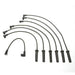 Spark Plug Wire Set Delphi XS10204